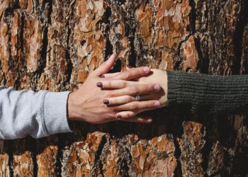 “કલ્પના”