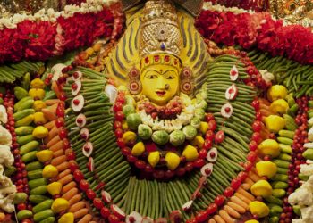 શાકંભરી દેવીની ઉપાસનાનો પર્વ : શાકંભરી નવરાત્રી