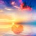કિનારેથી અંદર કૂદેલા જીવે છે,