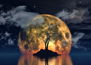 પ્રથમ સૂર્ય પાસે ઉધારી કરે છે