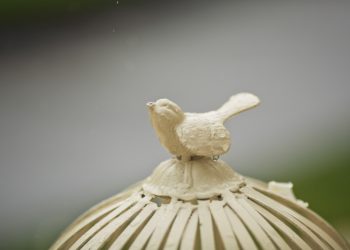 પંખીડાને આ પીંજરુ જૂનું જૂનું લાગે