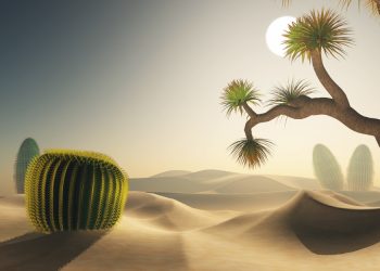 ઝાંઝવાના જળ પીધાંની વાત છે